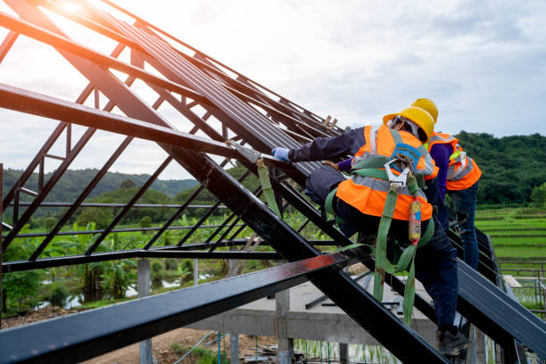 Best Roof Gutter Cleaning  in Hanover, MN