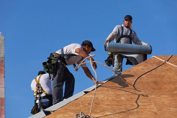 Best Roof Gutter Cleaning  in Hanover, MN