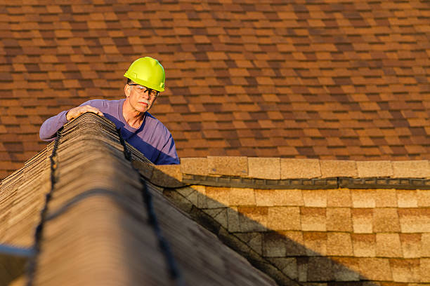 Best Roof Maintenance Services  in Hanover, MN