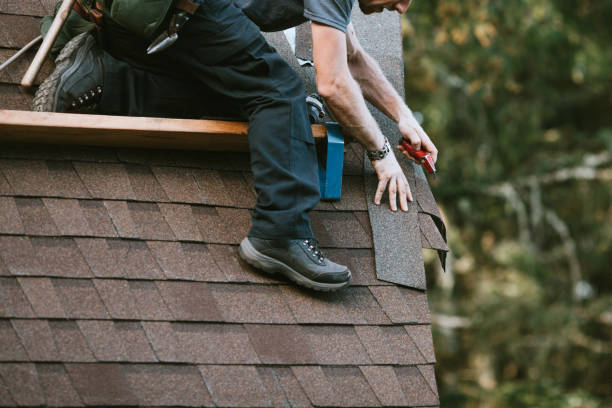 Best Metal Roofing Contractor  in Hanover, MN